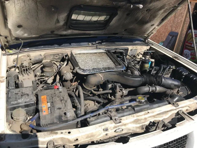Isuzu Wizard ����