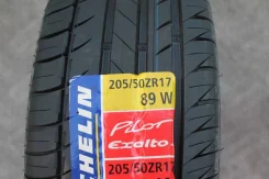 Michelin Pilot Exalto PE2. ������, 2009 ���, ����� ����
