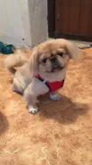 �������. ����
