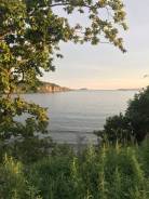 Морские прогулки