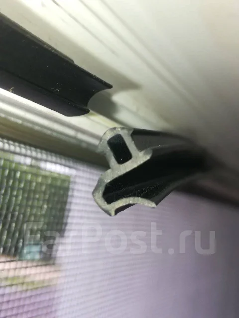 ����. ����