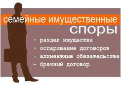 Адвокат по семейным спорам.