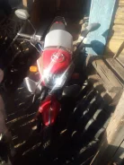 Sigma Sport. 49����. ��., ��������, ��� ���, � �������� ����