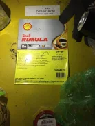 Shell Rimula. 5W-30, �������������, 209��. ����