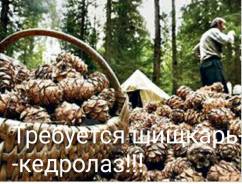 Разнорабочий. ИП Клименко М.В. Проспект Народный 11