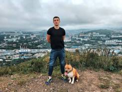 Медицинский представитель. Незаконченное высшее образование (студент)