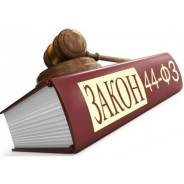 Подготовка закупочных документаций по 44-ФЗ и 223-ФЗ