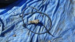 Тросик газа. Toyota Rush, J200, J200E, J210, J210E Двигатель 3SZVE