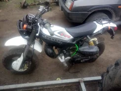 Suzuki Street Magic II. 72����. ��., ��������, ���, ��� ������� ����