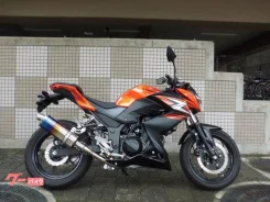 Kawasaki Ninja Z250SL. 250����. ��., ��������, ���������, ��� �������. ��� ����� �� ������������ ����