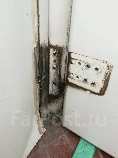 ������ ������. ����
