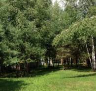 В КП «Взгорье» продается последний участок. 34 кв. м., от частного лица (собственник)