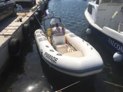 BRIG Falcon F450. 2004 ���, ����� 4,5��., ��������� ���������, 70��.�., ������ ����