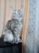 Мейн-кун.