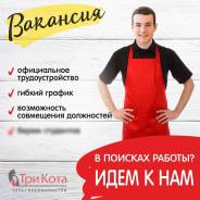 Продавец-мерчендайзер. ООО " Три Кота". Улица Бородинская 14 стр. 6, улица Юмашева 7Б, ул. Героев Тихоокеанцев 5а