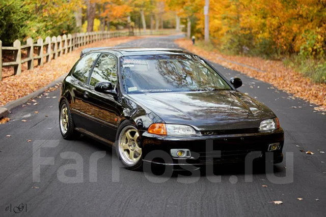 SSR Professor SP1. 8.0x17", 5x100, �� 73,1���. ��� ����� �� ���������� ����