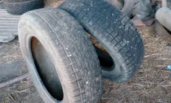 Falken Espia Ice. ������, ��� �����, �/�, ����� 30�%