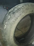 Continental Contact. ������, �/�, ����� 30�% ����