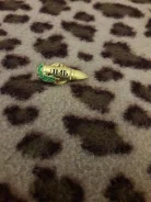 ������ ��� ���� �� ����� ����