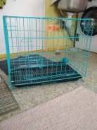 Клетки.