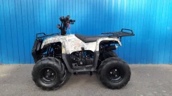Motoland Rider 110. ��������, ��� ���\���, ��� ������� ����