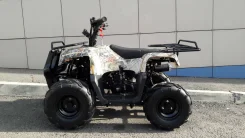 Motoland Rider 110. ��������, ��� ���\���, ��� ������� ����