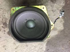 Pioneer
