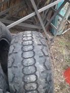 ��� �-83. ����� at, ����� ����
