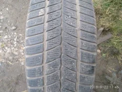 Barum Polaris 2. ������, ��� �����, �/�, ����� 70�% ����