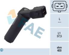    Ford Fiesta/Escort/Focus/Mondeo/Puma/Transit 1.3i-2.4i 77ES808 