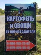 Картофель.