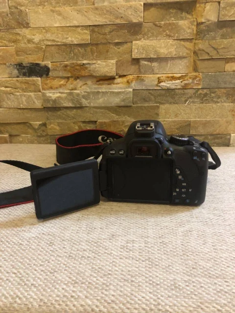 Canon EOS 650D. 15 - 19.9 ��, ���: 14� � ����� ����