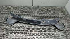 Накладка декоративная (дождевик) Renault Megane 2 2002-2009 2005, передняя