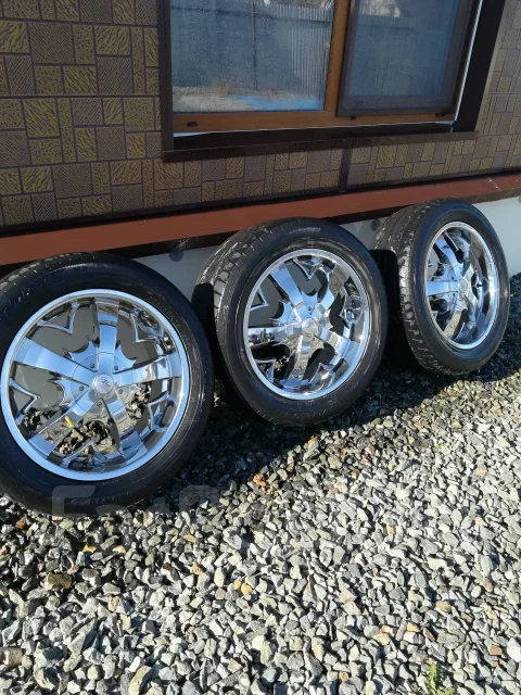 Hofele. x20" ����