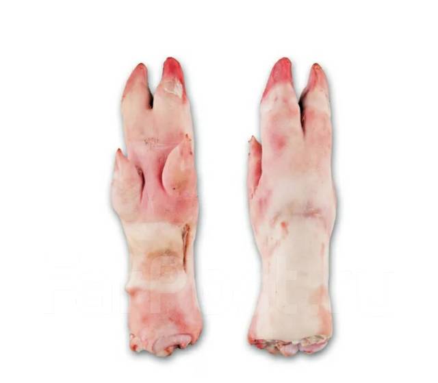 1538376984808_bulletin