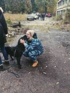 Кинолог