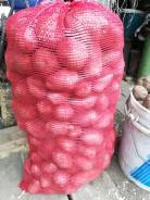 Продам домашний картофель в Уссурийске Картофель.