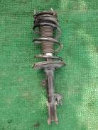 Амортизатор. Lexus RX450h, GGL10, GGL15 Lexus RX350, GGL10, GGL10W, GGL15, GGL15W Двигатель 2GRFE