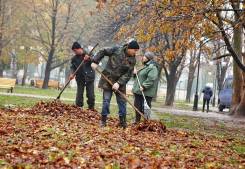 Качественная уборка листвы и снега
