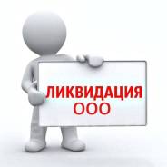 Срочная ликвидация ООО, Альтернативная ликвидация