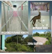 Продам бизнес Зоосалон