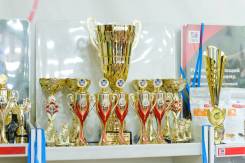 12 января 2019г. Международная выставка кошек WCF. Идет запись.