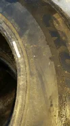 Bridgestone Sneaker. ������, ����������, �����