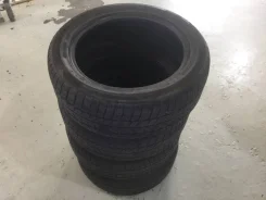 Fortuna Winter. ������, ��� �����, 2013 ���, �/�, ����� 60�% ����