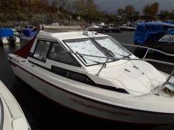 Yamaha LS-20. 1995 ���, ����� 6��., ��������� ���������, 115��.�., ������ ����