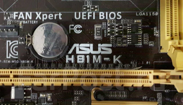 H81 ����