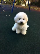 �����. ����
