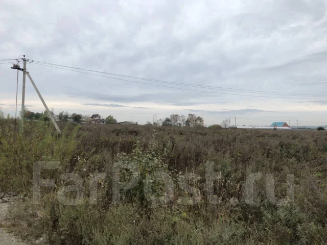 ������������ �������. 1300����., ���� ����