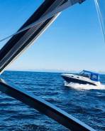 Searay. 2001 год год, длина 8,00 м., двигатель стационарный, 350,00 л.с., бензин