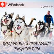 Подарочный сертификат. Экскурсия в питомник хаски и катание в упряжке